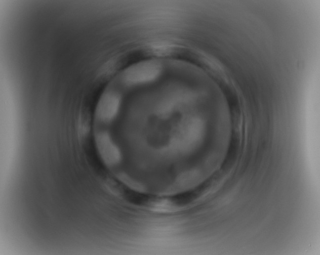 X0000114090507200910131259