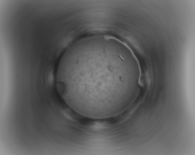 X0000114090508200910131259