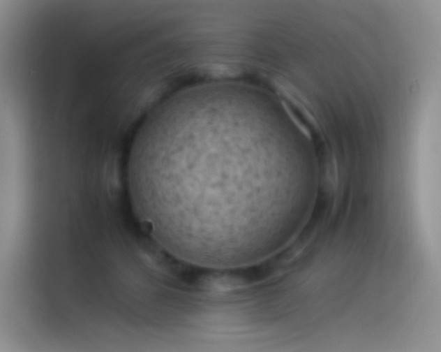 X0000114090512200910131259