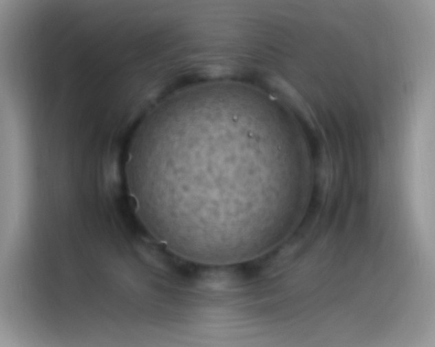 X0000114090516200910131259