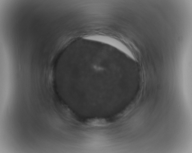 X0000114090517200910131259