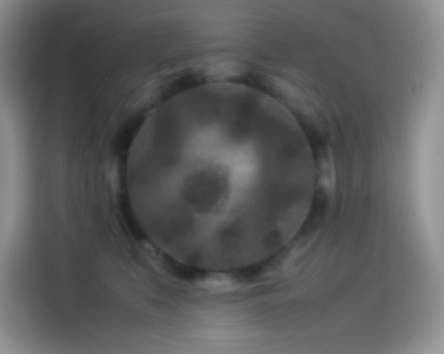 X0000114090519200910131259