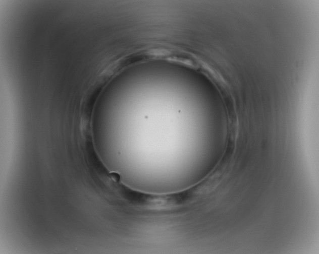 X0000114090521200910131259