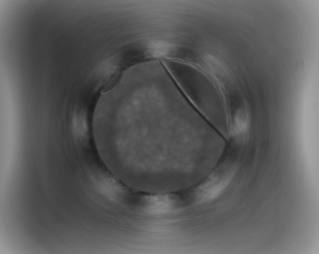 X0000114090524200910131259