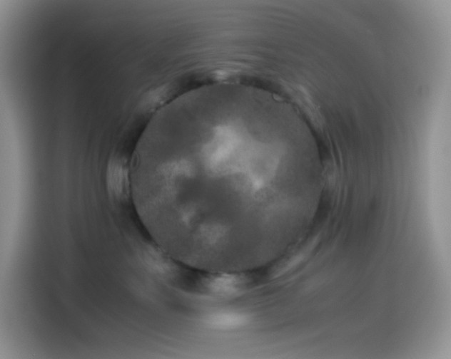 X0000114090527200910131259