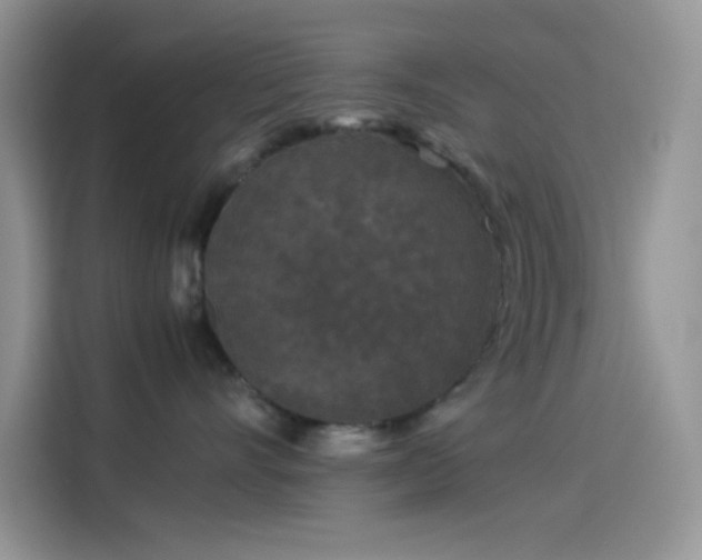 X0000114090528200910131259