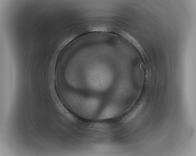 X0000114090529200910131258