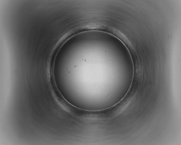 X0000114090530200910131258