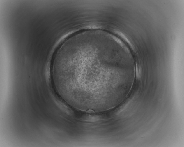 X0000114090531200910131258