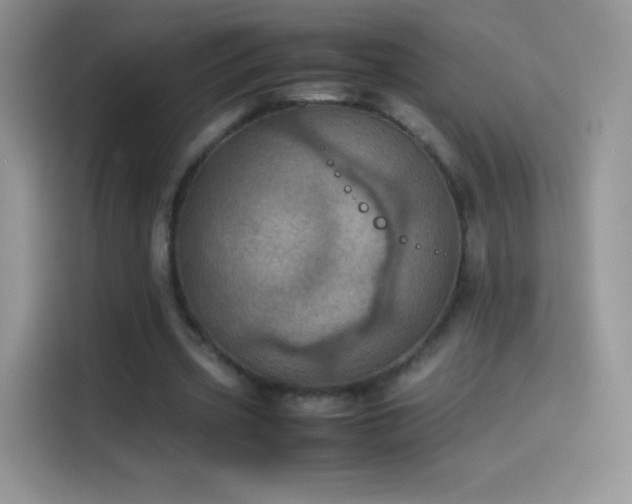X0000114090533200910131258