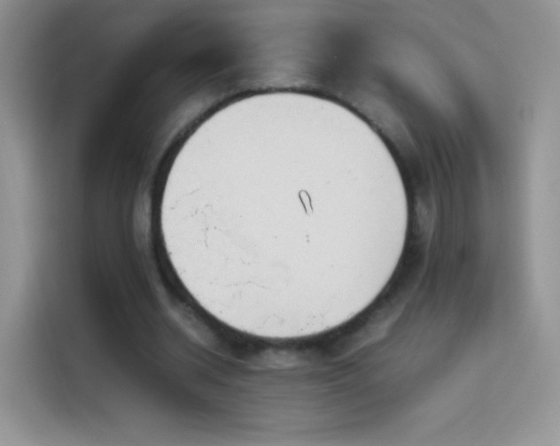 X0000114090534200910131258