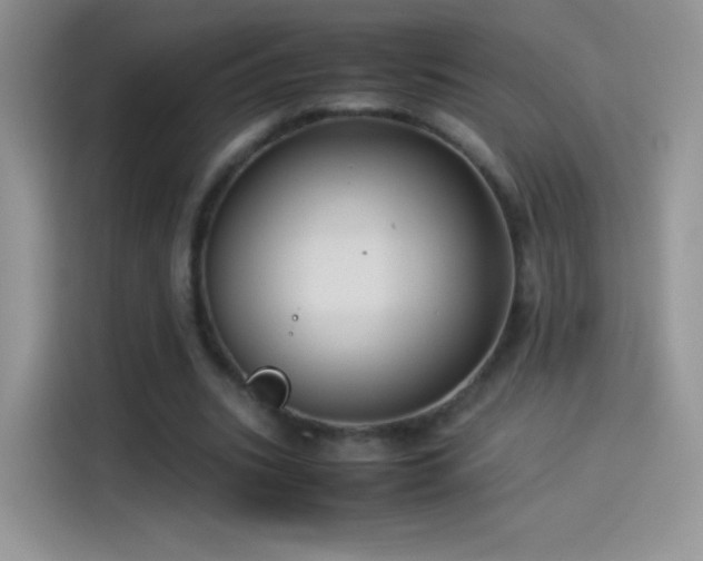 X0000114090535200910131258