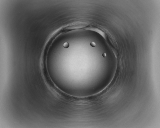X0000114090536200910131258