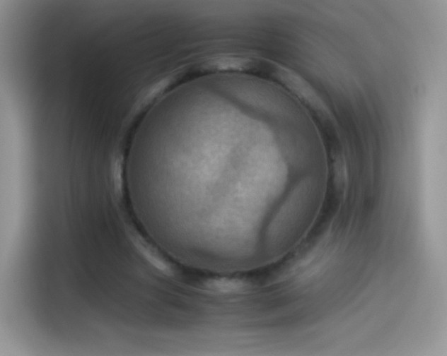 X0000114090537200910131258