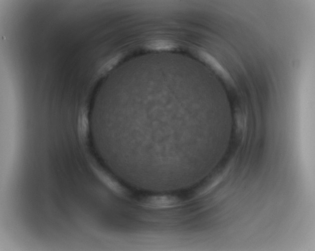 X0000114090541200910131258