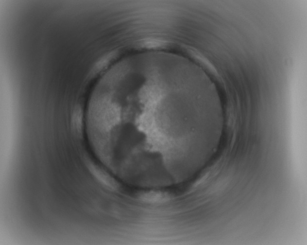 X0000114090542200910131258