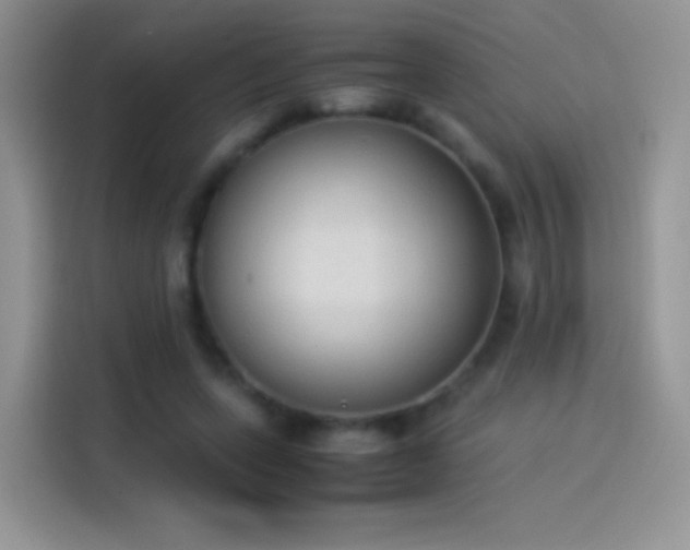 X0000114090543200910131258