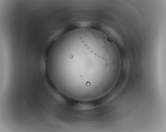 X0000114090545200910131258