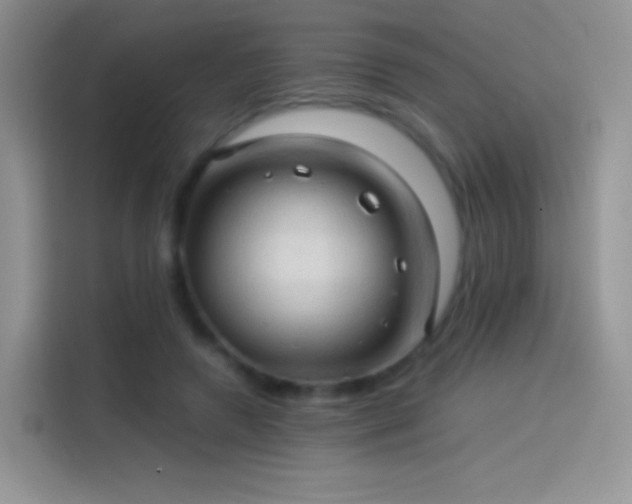 X0000114090546200910131258