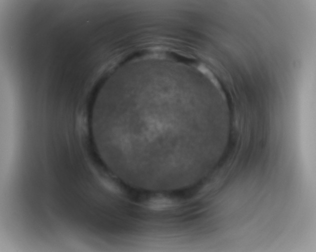 X0000114090547200910131258