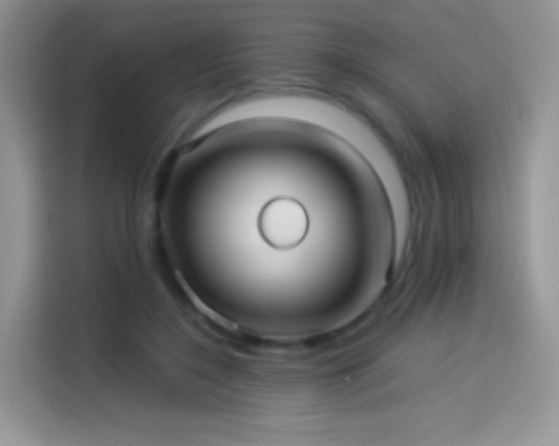 X0000114090548200910131258