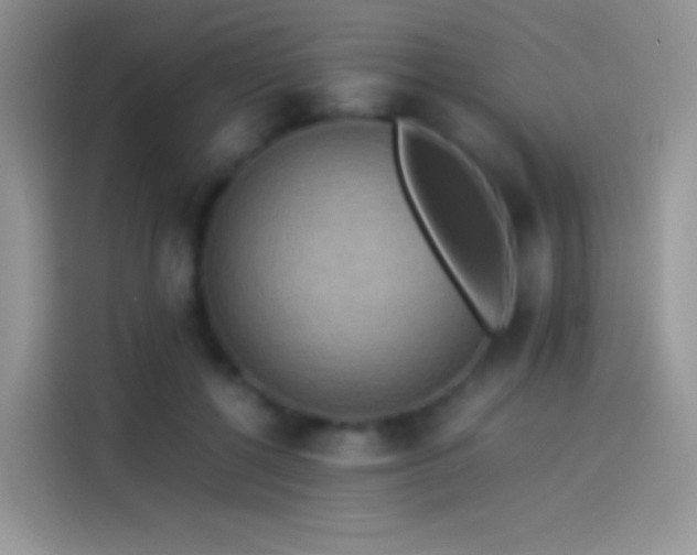X0000114090552200910131259