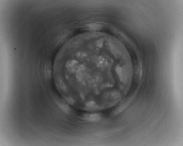 X0000114090553200910131259