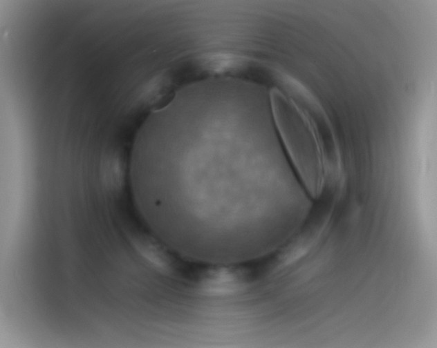 X0000114090558200910131259