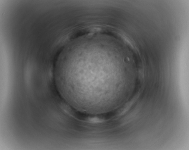 X0000114090561200910131259