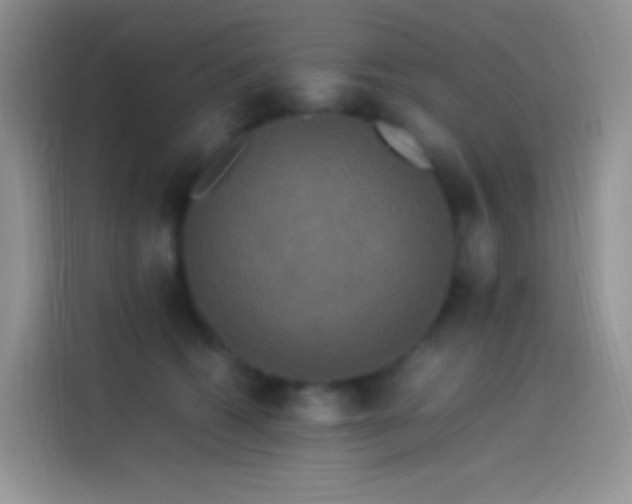 X0000114090562200910131259