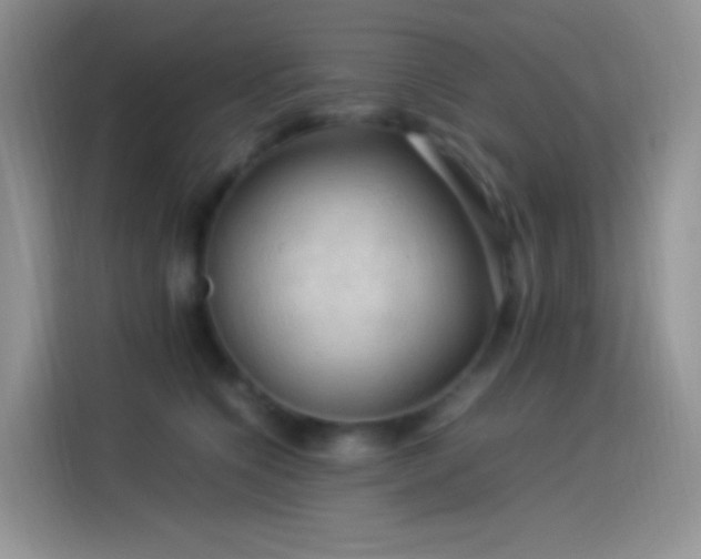 X0000114090564200910131259