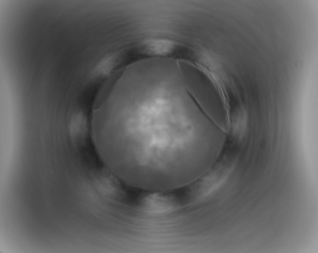 X0000114090568200910131259