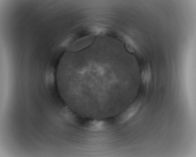 X0000114090570200910131259
