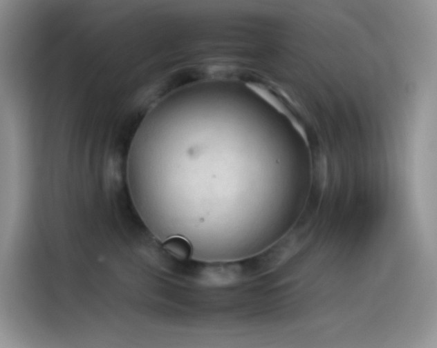 X0000114090571200910131259