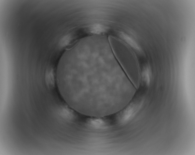X0000114090572200910131259