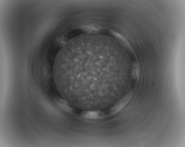 X0000114090573200910131259