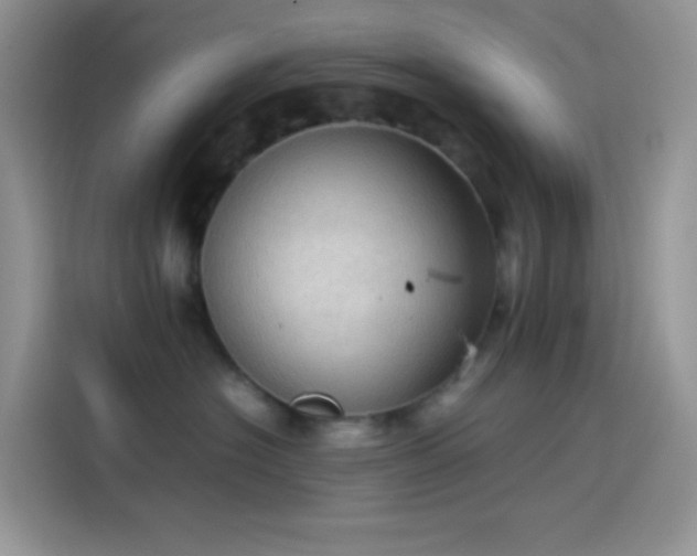 X0000114090574200910131259