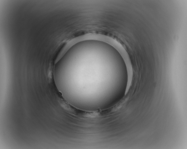 X0000114090576200910131259