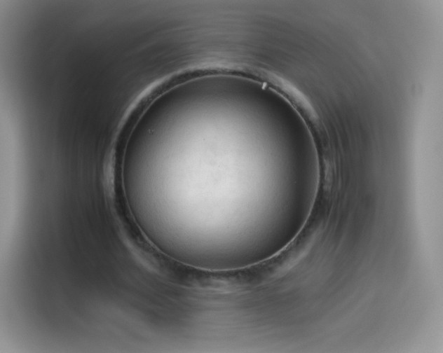 X0000114090580200910131258