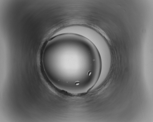 X0000114090581200910131258