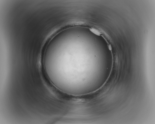 X0000114090582200910131258