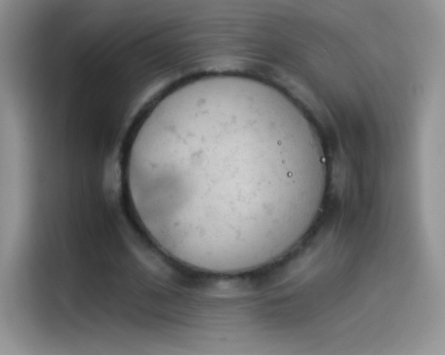 X0000114090584200910131258