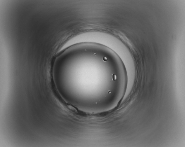 X0000114090585200910131258