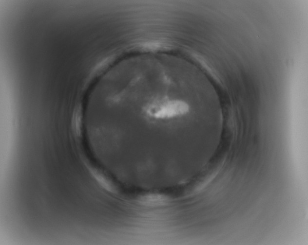 X0000114090590200910131258