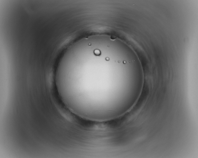 X0000114090591200910131258