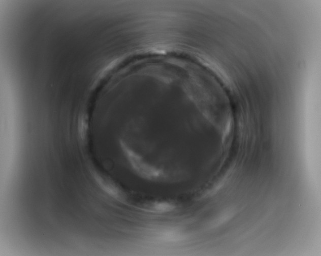 X0000114090592200910131258