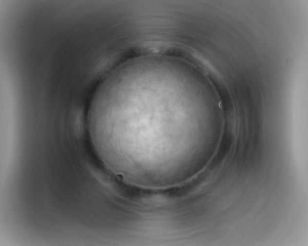 X0000114090594200910131258
