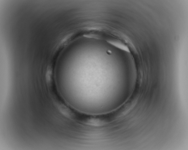 X0000114090596200910131258