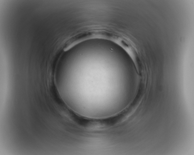 X0000114090597200910131258