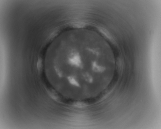 X0000114090598200910131258